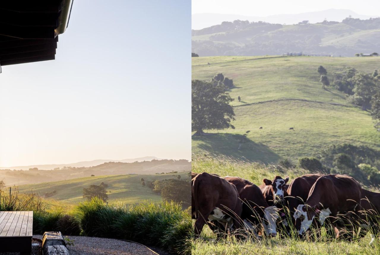 Carinya Byron Bay Villa Hayters Hill Eksteriør bilde